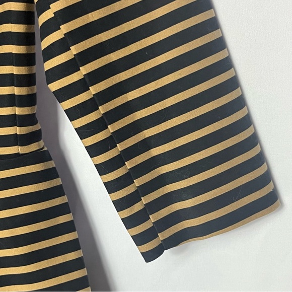 GAP | Striped Black & Tan | Full Pleated Circle Mini Dress | Sz 4 - Picture 8 of 12
